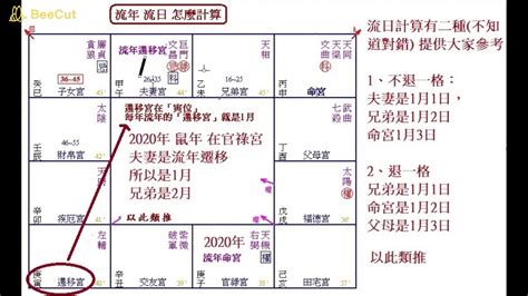 流月查詢|免費紫微運勢曲線算命